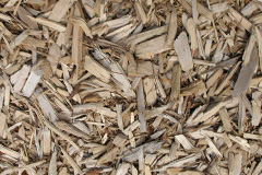 biomass boilers Hardstoft Common